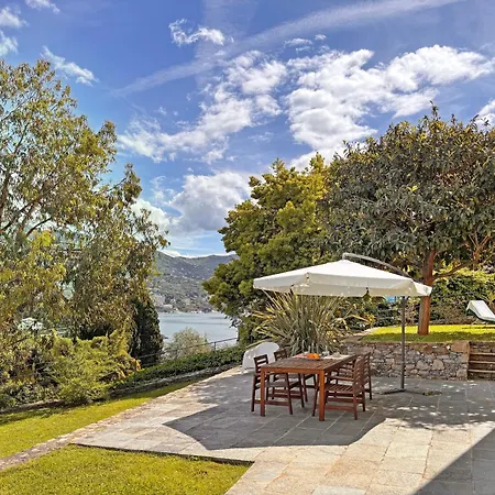 Viola راباللو